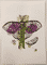 moth-5-2014-poor-quality-photo